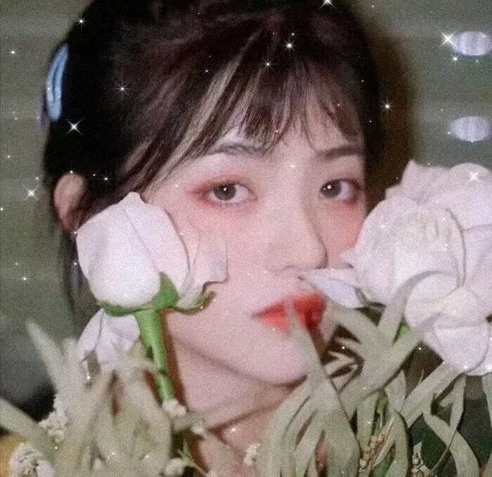 丑小鸭天鹅